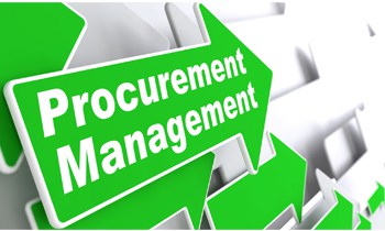 Procurement & Strategy